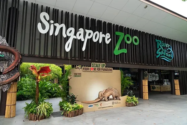 5 Exciting Ways to Celebrate World Wildlife Day in Singapore: From Zoos ...